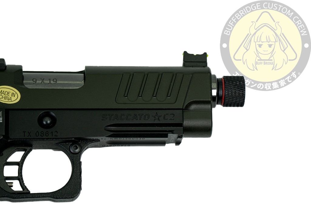 T8 & Army : Staccato C2 slide + P frame 8