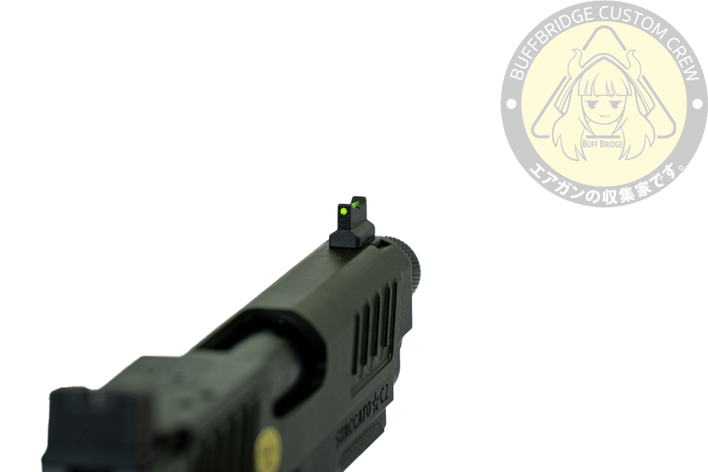 T8 & Army : Staccato C2 slide + P frame 10